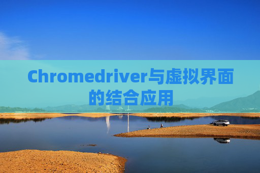 Chromedriver与虚拟界面的结合应用 Chromedriver与虚拟界面的结合应用